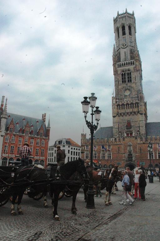 Bonnie Bruges Quarto foto